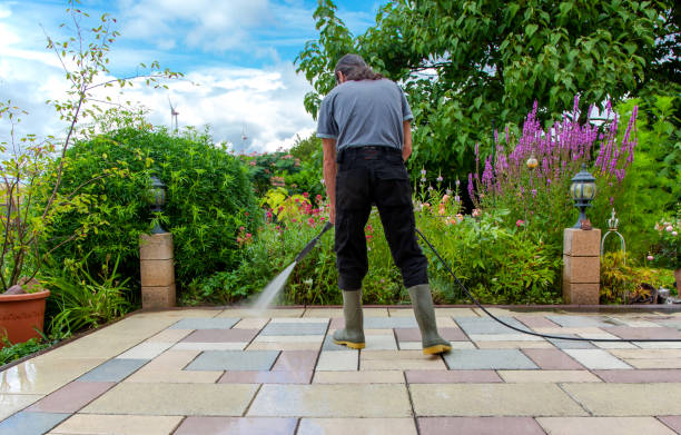 Best Animal Enclosure Cleaning  in Tappahannock, VA